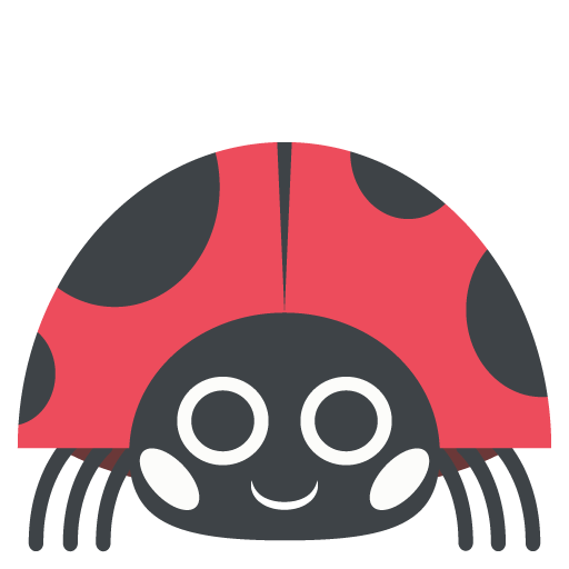 Lady Beetle