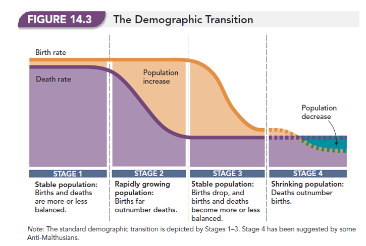 The Demographic Transition 