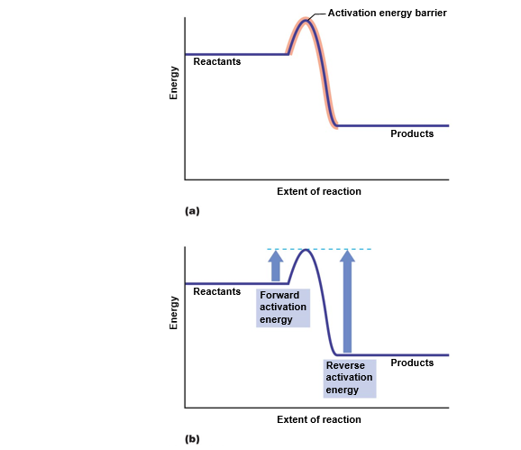 The activation energy barrier.