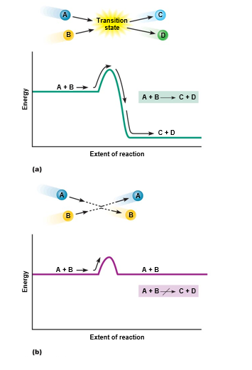 Effect of the activation energy barrier.