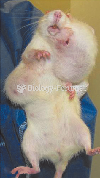 One of the rats in the research reported on BioFoods.