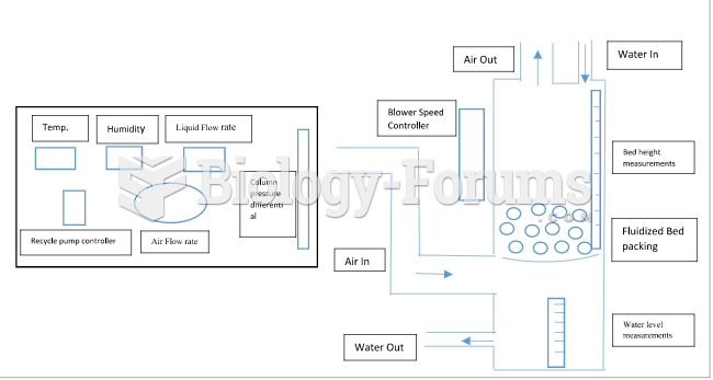 Schematic diagram of fluidization apparatus