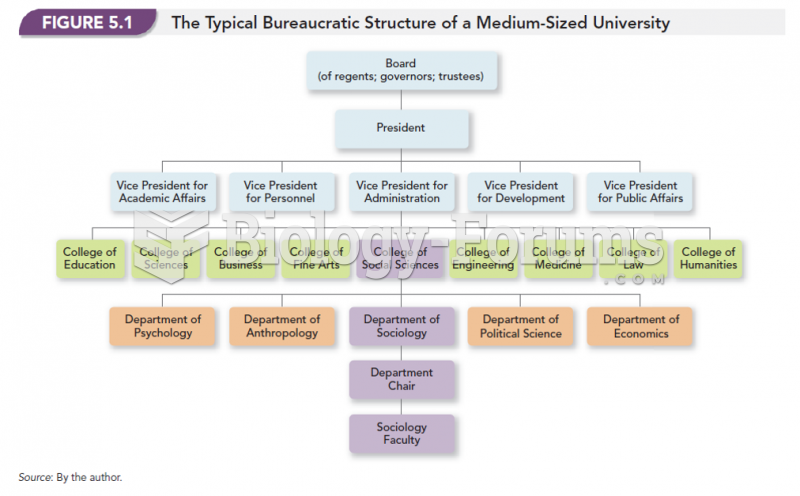 The Typical Bureaucratic Structure of a Medium-Sized University 