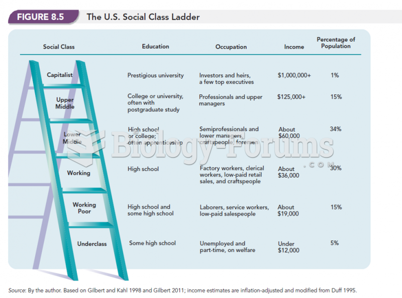 The U.S. Social Class Ladder 