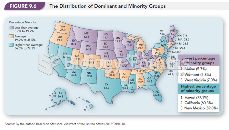 The Distribution of Dominant and Minority Groups 