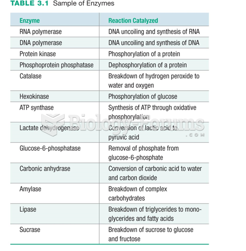 Sample of Enzymes