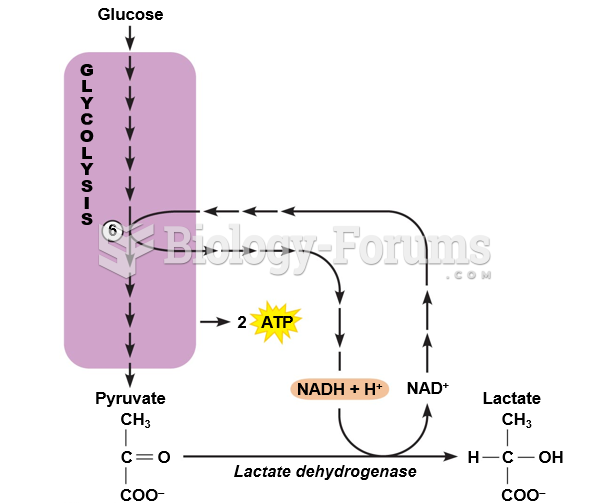 Conversion of pyruvate to lactate.