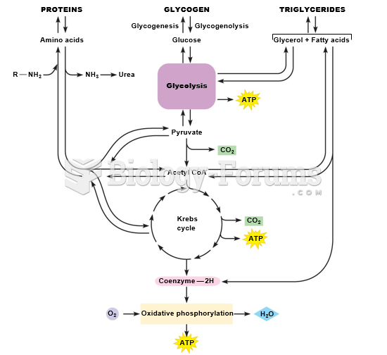 Metabolic pathways involved in protein, glycogen, and fat metabolism.