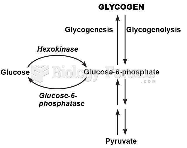 Glycogen metabolism.