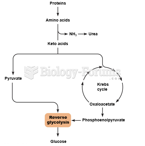 Metabolic pathways involved in gluconeogenesis.