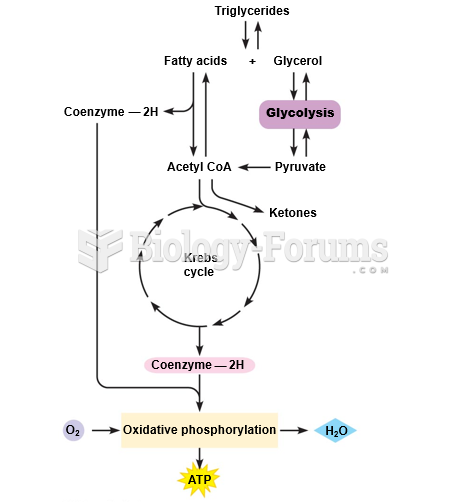 Metabolic pathways involved in lipolysis, the breakdown of fats (triglycerides) for energy.