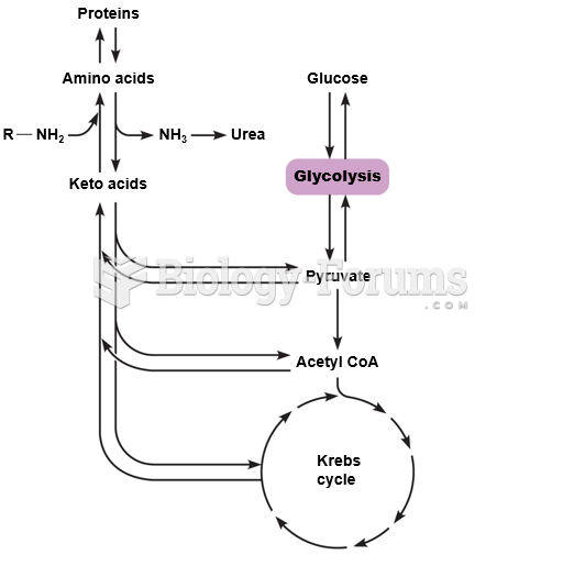Metabolic pathways involved in the breakdown of proteins for energy.