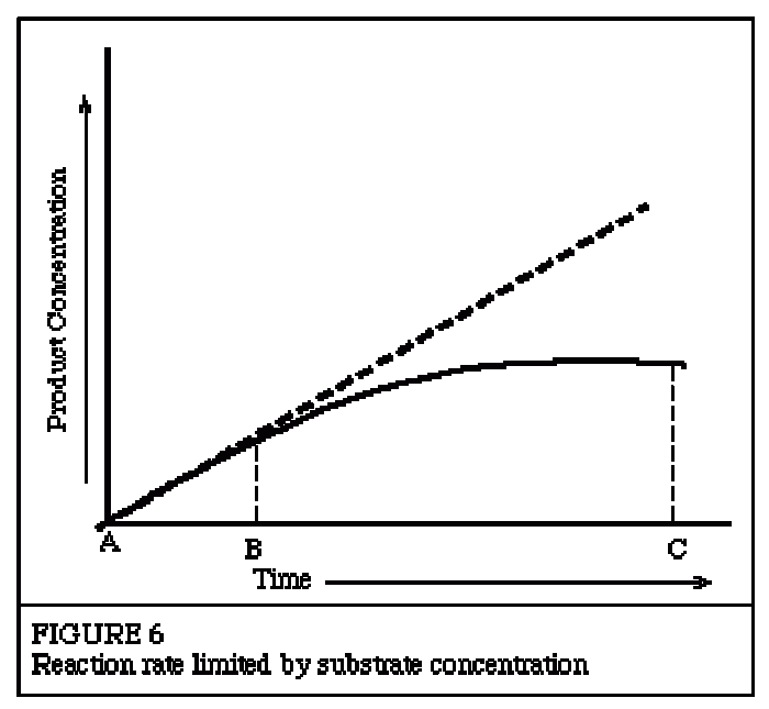 Reaction limited by substrate concentration