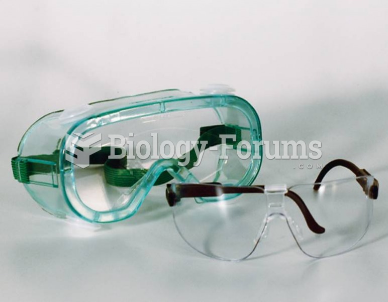 Safety Glasses