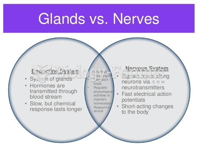 Venn Diagram of Nervous System and Endocrine System