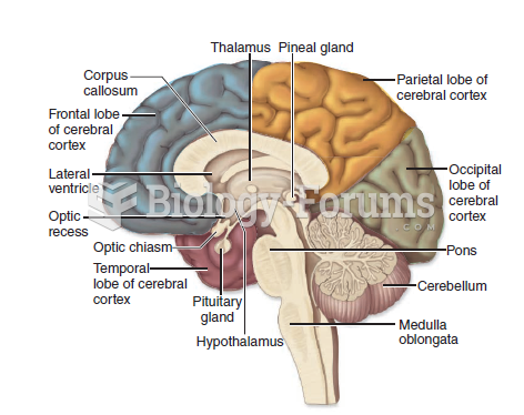 A section through the human brain