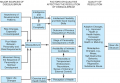 I know this is complicated, but take a crack at it anyway. This is a model of disequalibrium and its ...