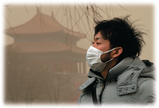 Pollution in the Industrializing Nations has become a major problem. The air in Beijing is hazardous ...