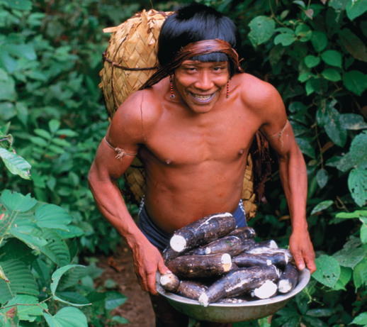 A member of the Uru-Eu-Wau-Wau tribe in Brazil. The way of life of the world’s few remaining rain ...