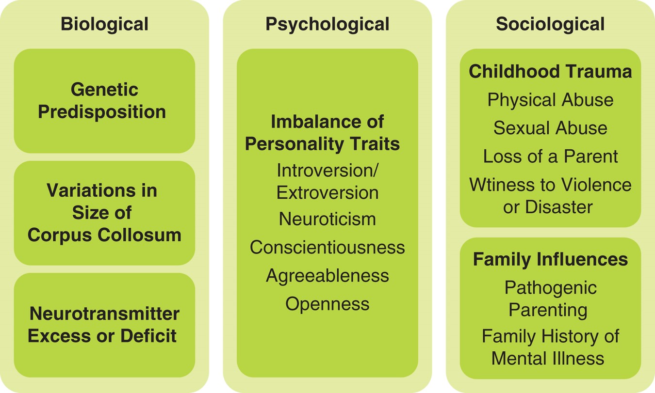 Selected biological, psychological, and sociological factors in the development of personality ...