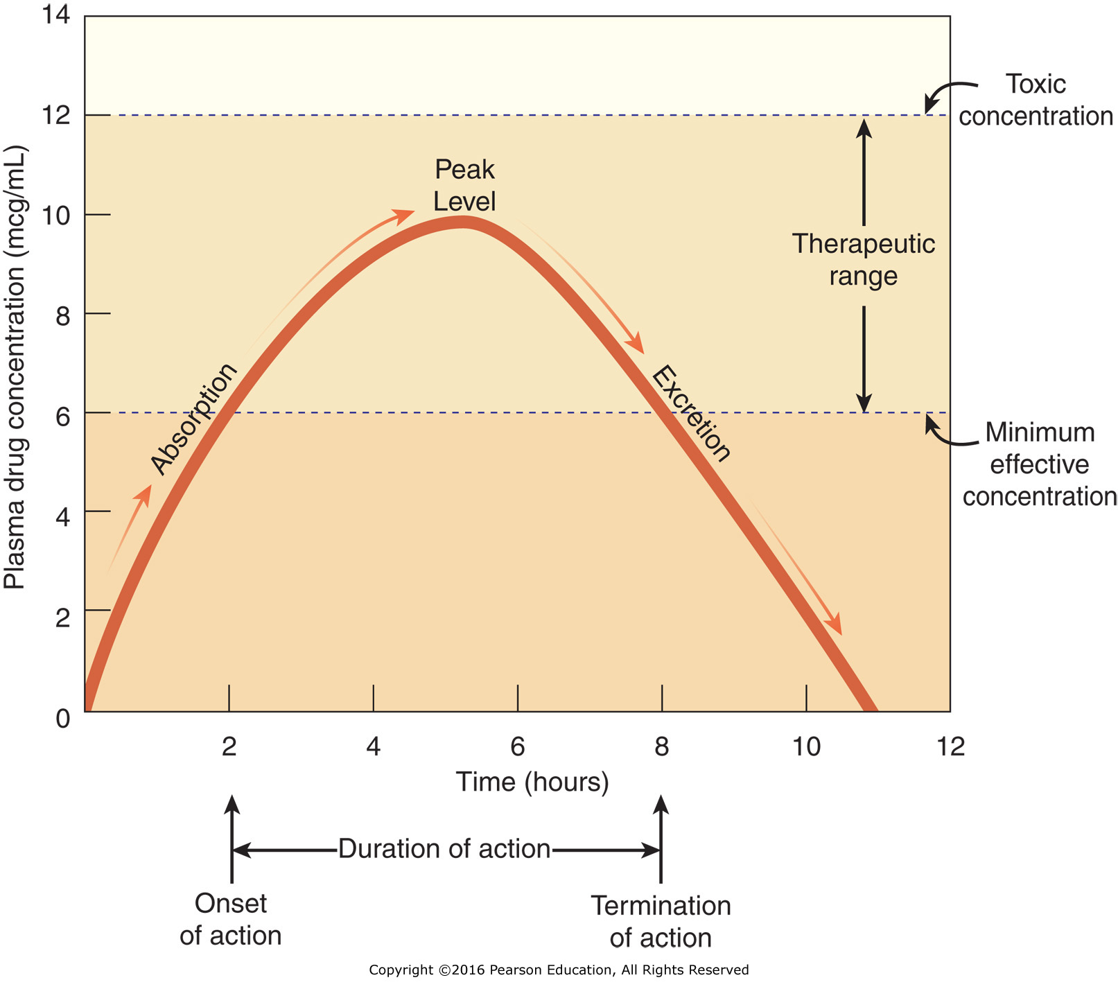 Single-dose drug administration. Pharmacokinetic values for this drug are as follows: onset of ...