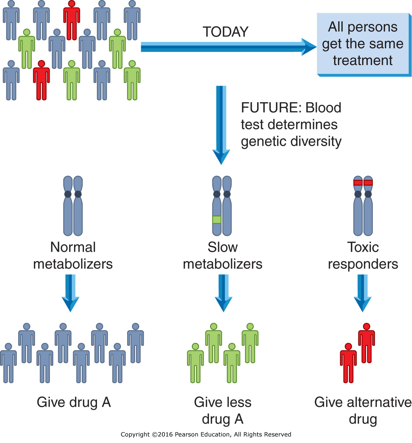 Pharmacogenomics and the future of pharmacotherapy.