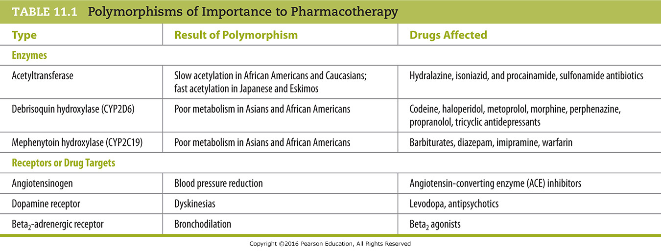 Polymorphisms of Importance to Pharmacotherapy