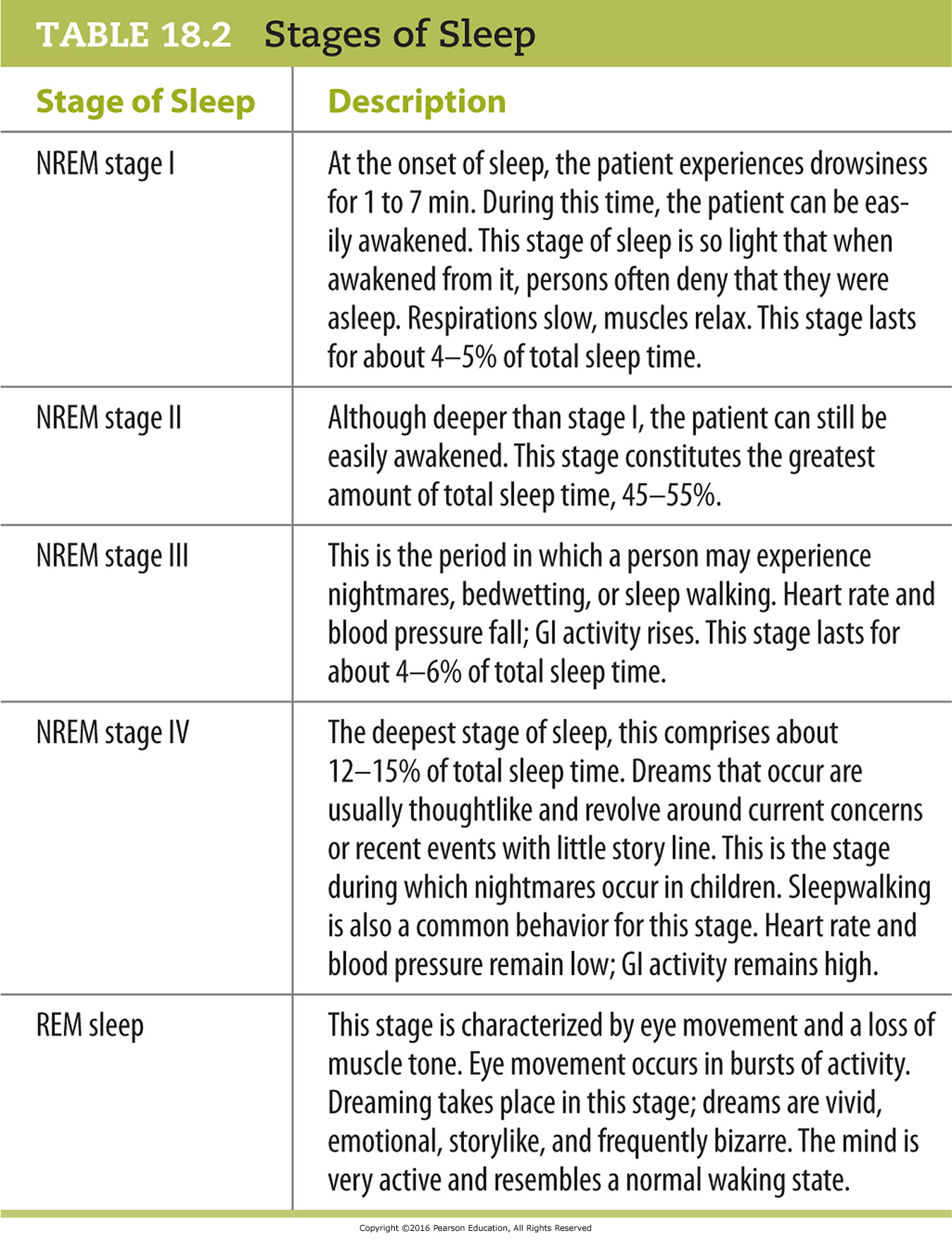 Stages of Sleep