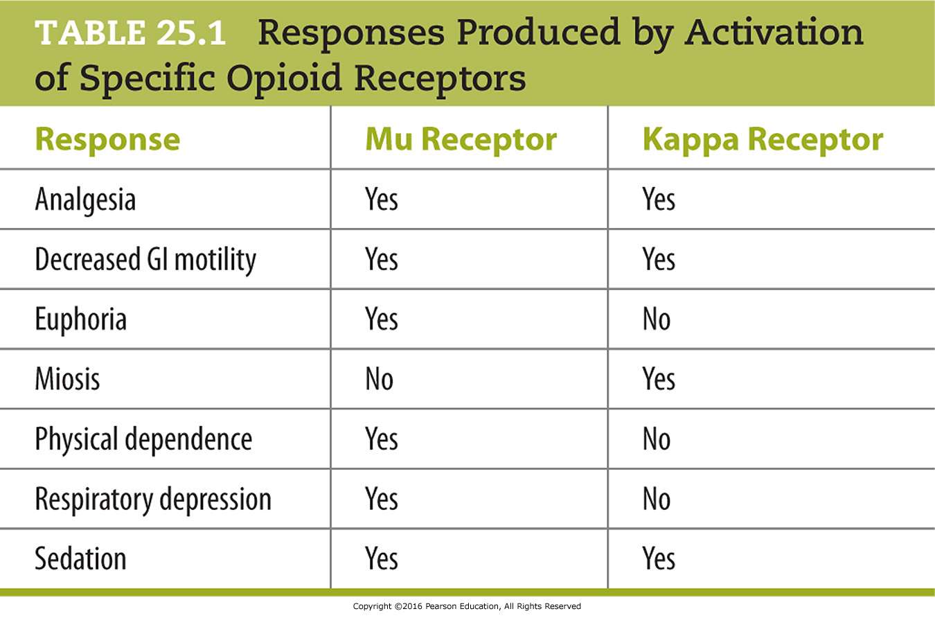 Responses Produced by Activation of Specific Opioid Receptors