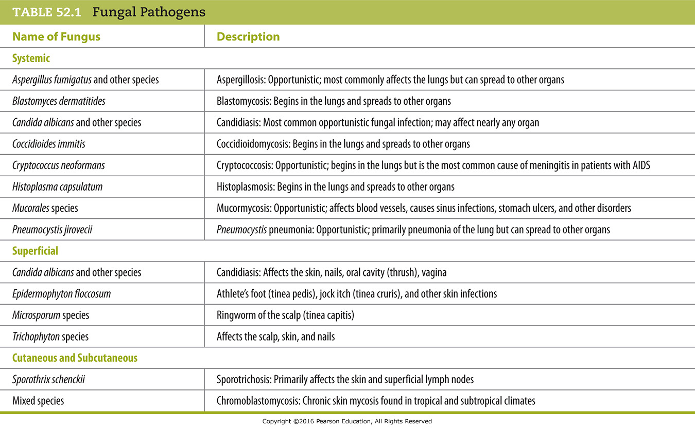 Fungal Pathogens