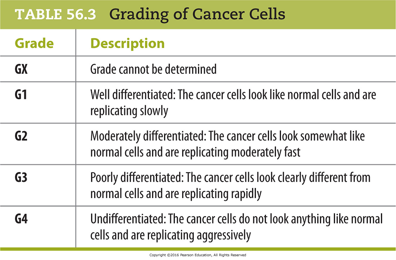 Grading of Cancer Cells