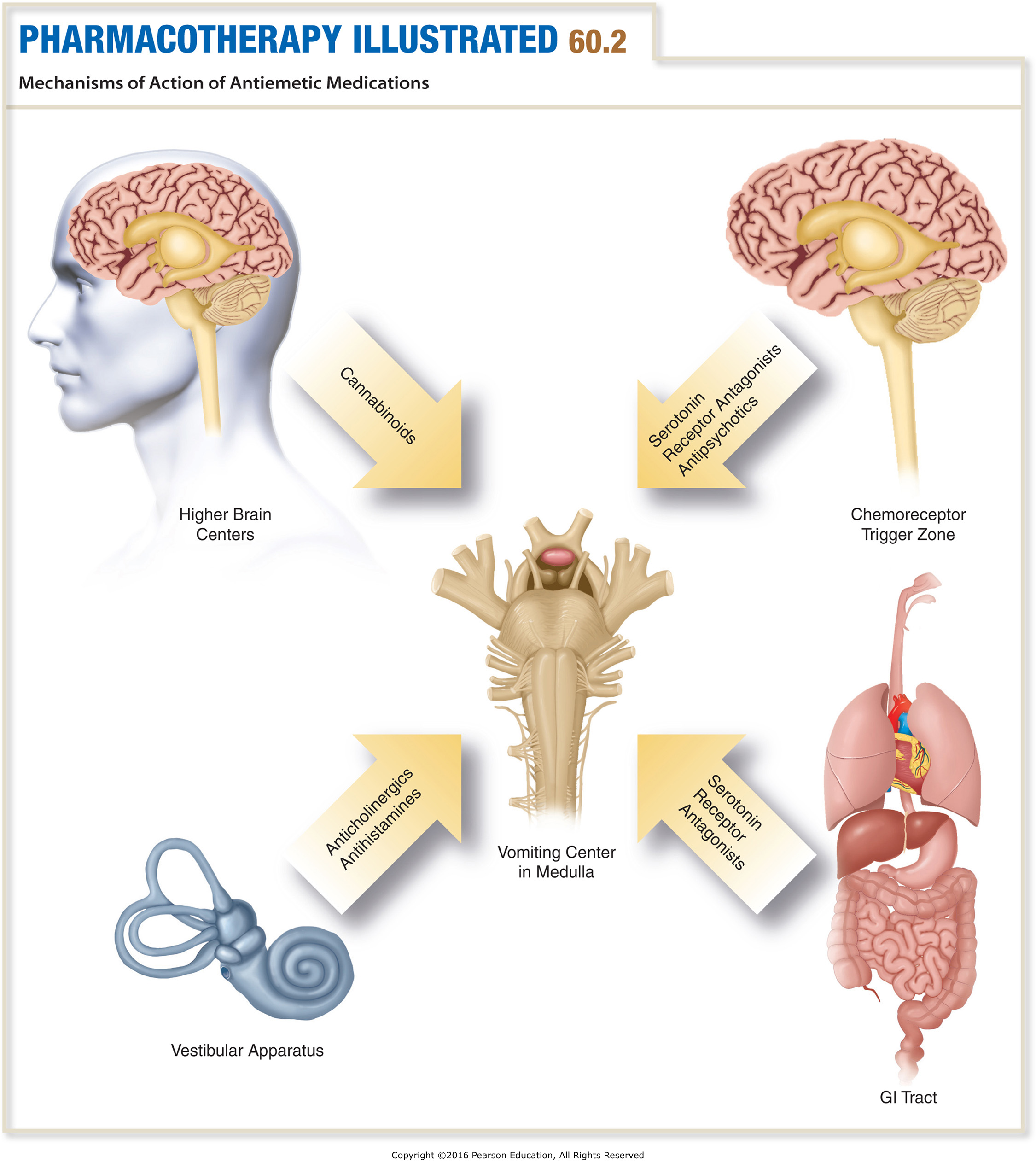 Mechanisms of Action of Antiemetic Medications