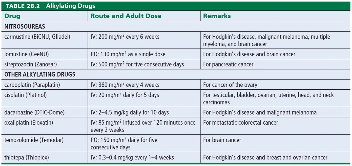 Alkylating Drugs 
