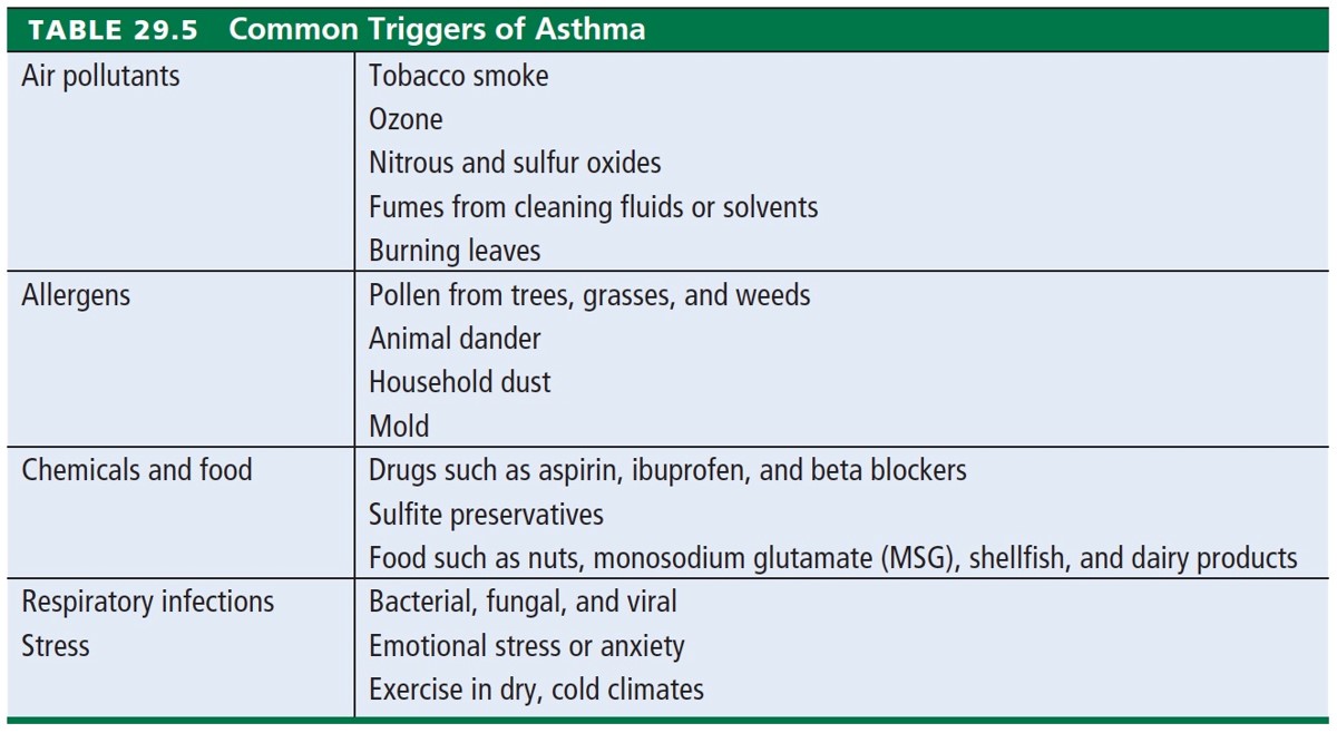 Common Triggers of Asthma 