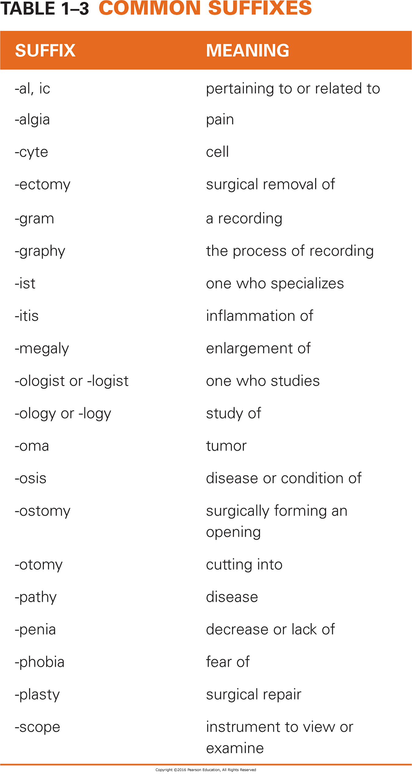 Common Suffixes 