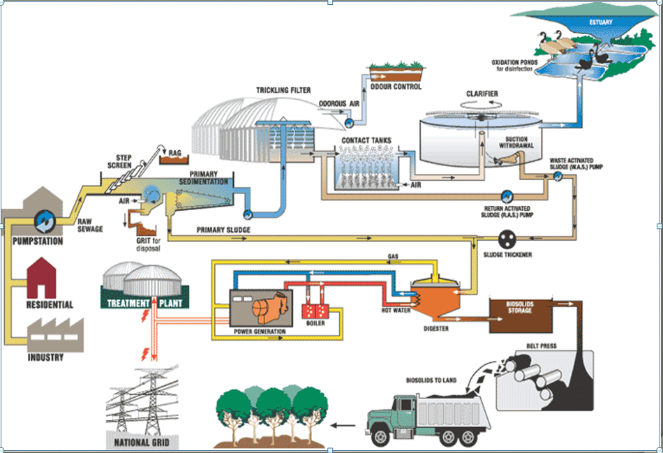 Sources of VOCs and Odors