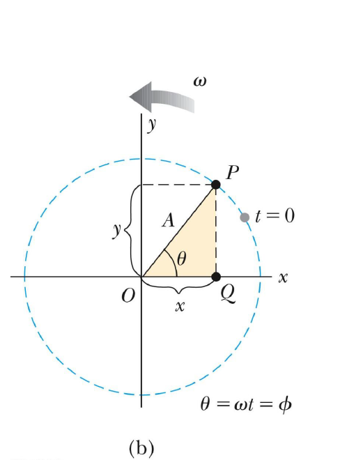 SHM and Circular Motion