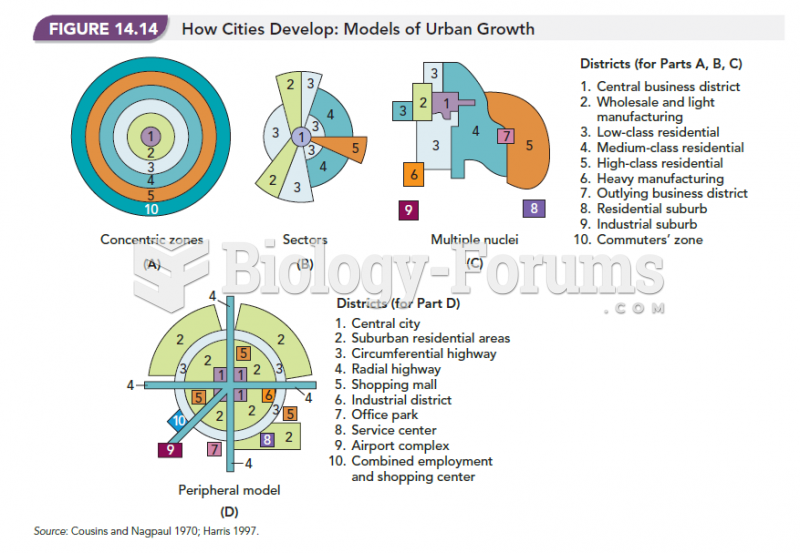 How Cities Develop: Models of Urban Growth 