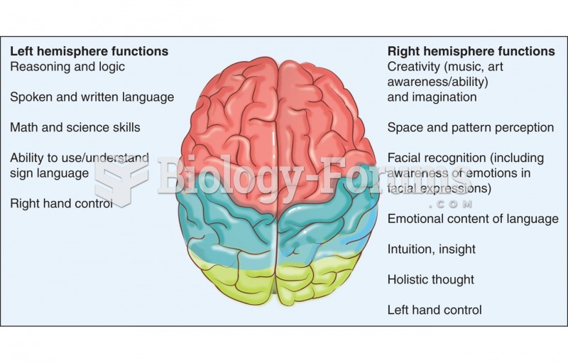 Brain hemispheres and their functions.