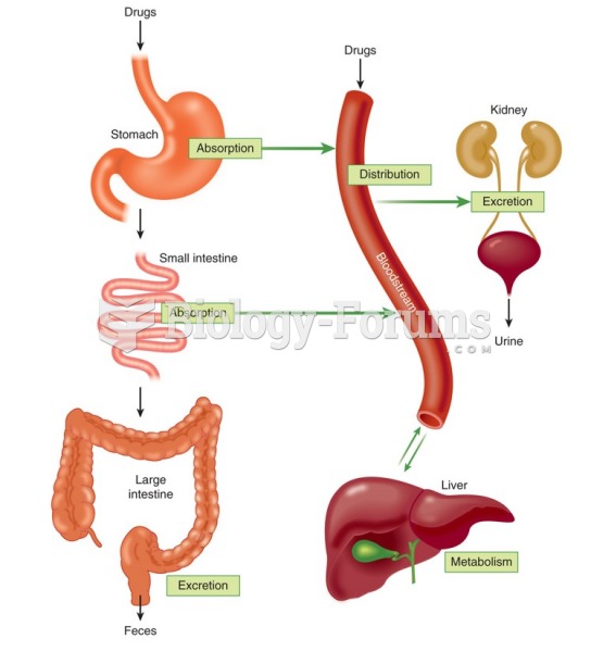 The four processes of pharmacokinetics: absorption, distribution, metabolism, and excretion.