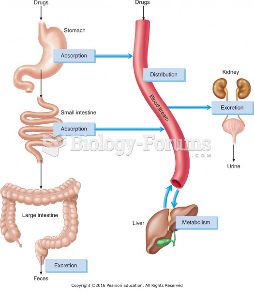 The four processes of pharmacokinetics: absorption, distribution, metabolism, and excretion.