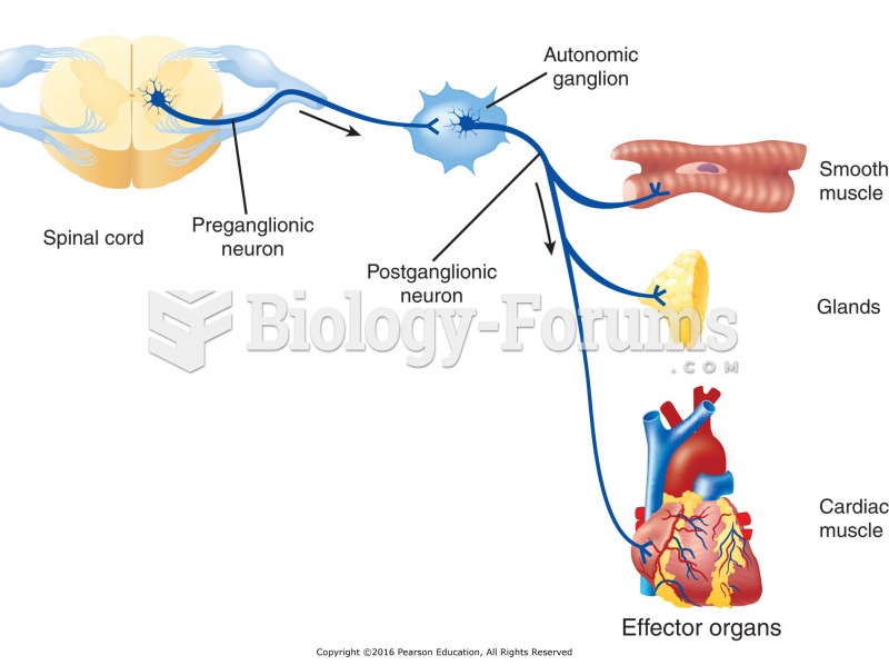 Basic structure of an autonomic pathway.