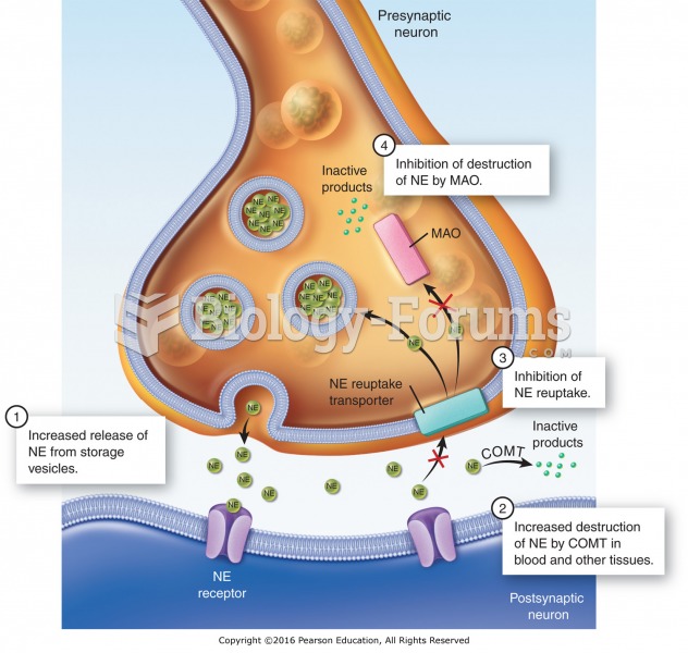 Mechanisms of action of adrenergic agonists: (1) stimulation of the release of NE; (2) increased ...