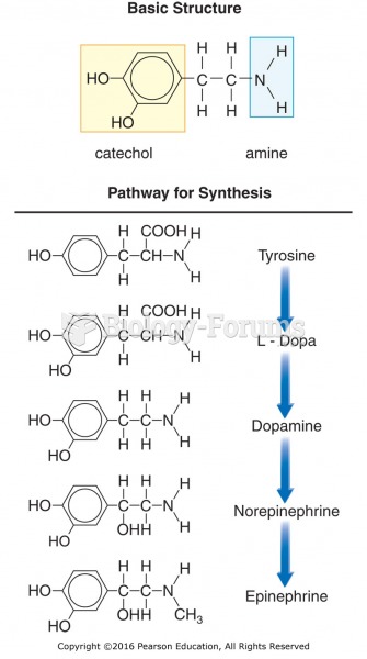 Basic chemical structure and synthesis of catecholamines. The synthesis of norepinephrine occurs in ...