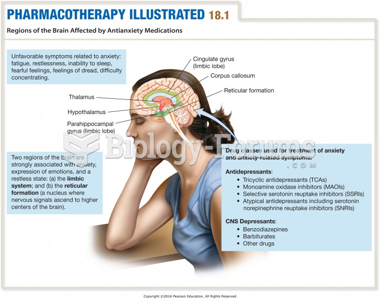 Regions of the Brain Affected by Antianxiety Medications