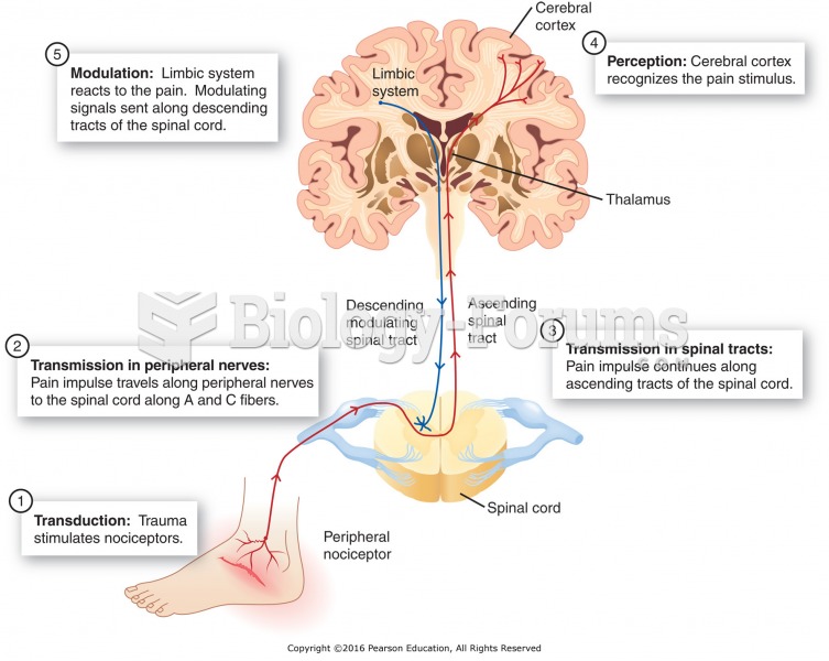 Phases of pain physiology.