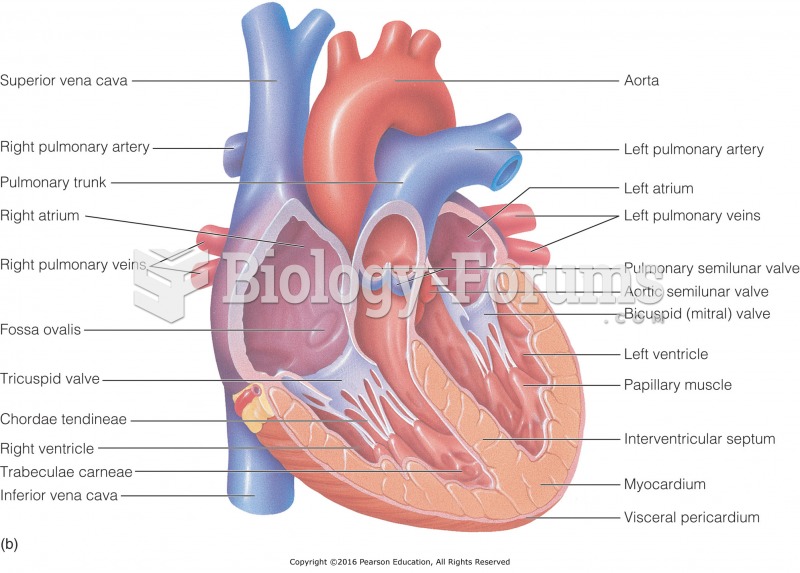 The heart: (b) chambers and valves.