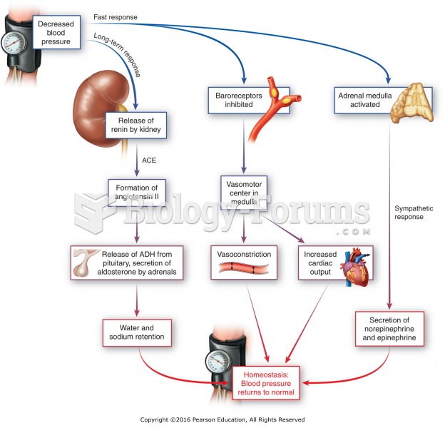 Endocrine and nervous control of blood pressure.