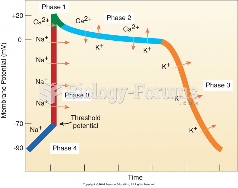 Phases of the myocardial action potential. Ion movements during each phase are shown.