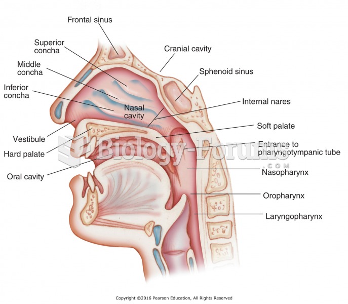 The respiratory system.